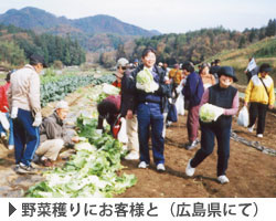 5section_photo1