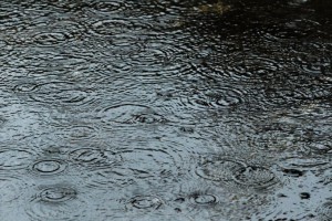 雨漏りの対策・点検は、梅雨の時期をおすすめします。